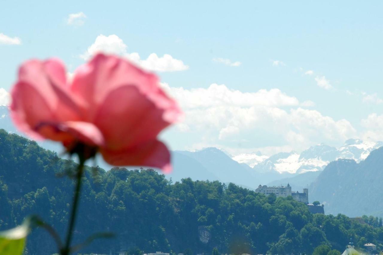 Haus Salzburgblick Bed & Breakfast エクステリア 写真